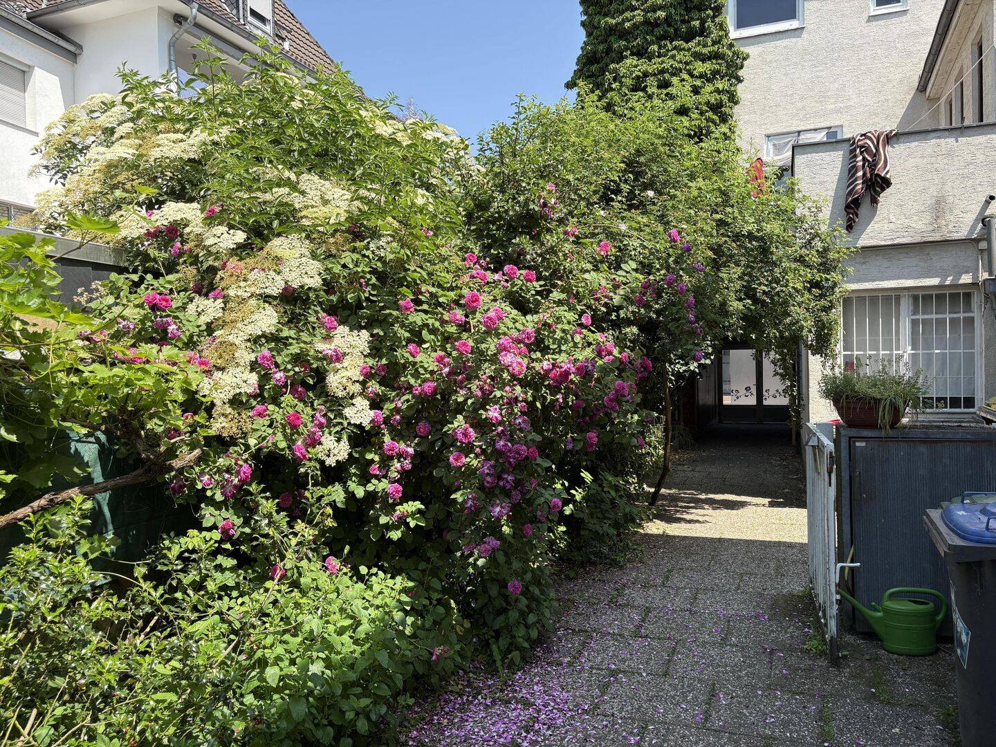 Bonn Mehlem - 2 Häuser auf einem Grundstück als Kapitalanlage und Selbstnutzung möglich – Bonn – Vorschaubild 4