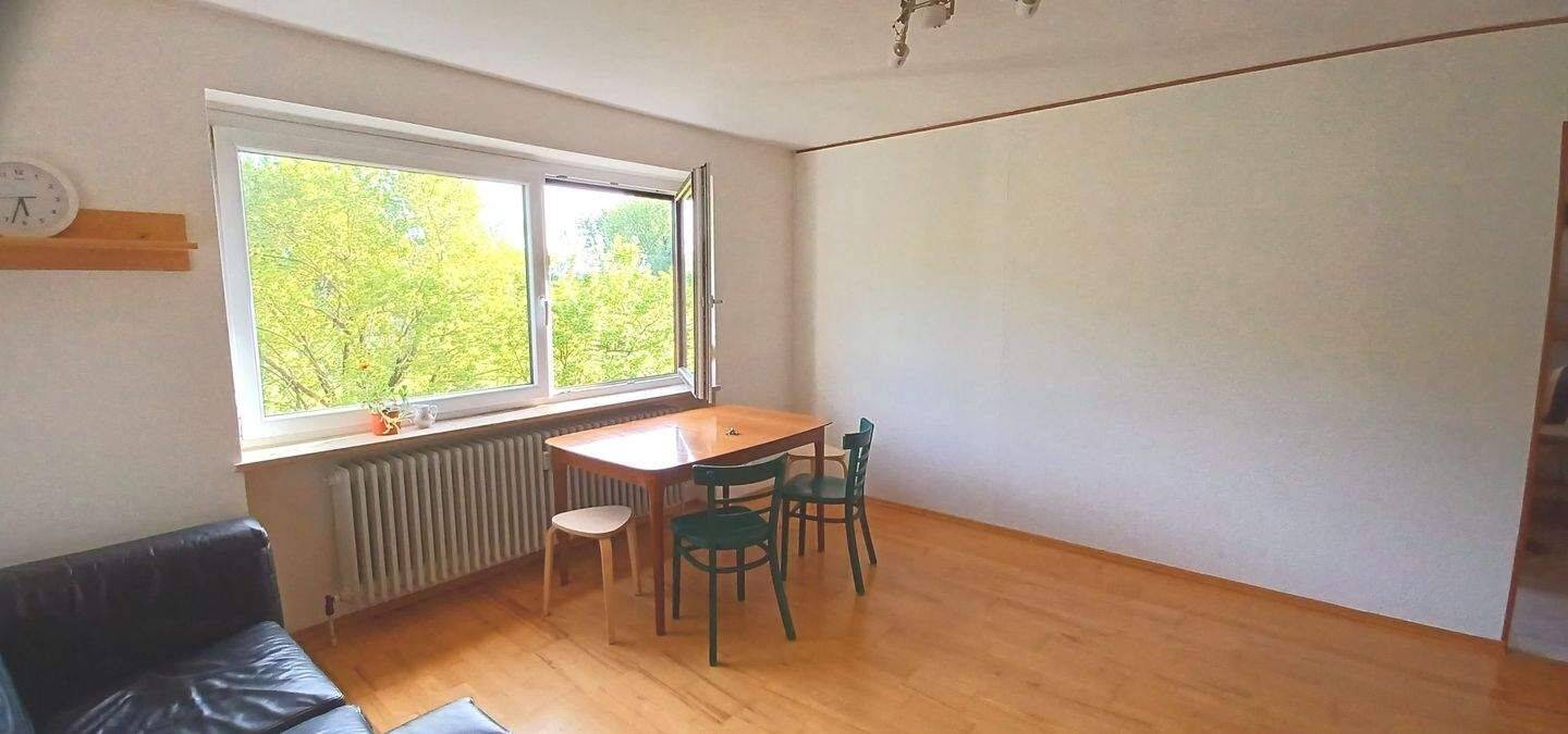 Großzügige, helle 2 ,5 Zim. Wohnung unverbaubarer Blick auf die Donau! – Regensburg – Vorschaubild 5