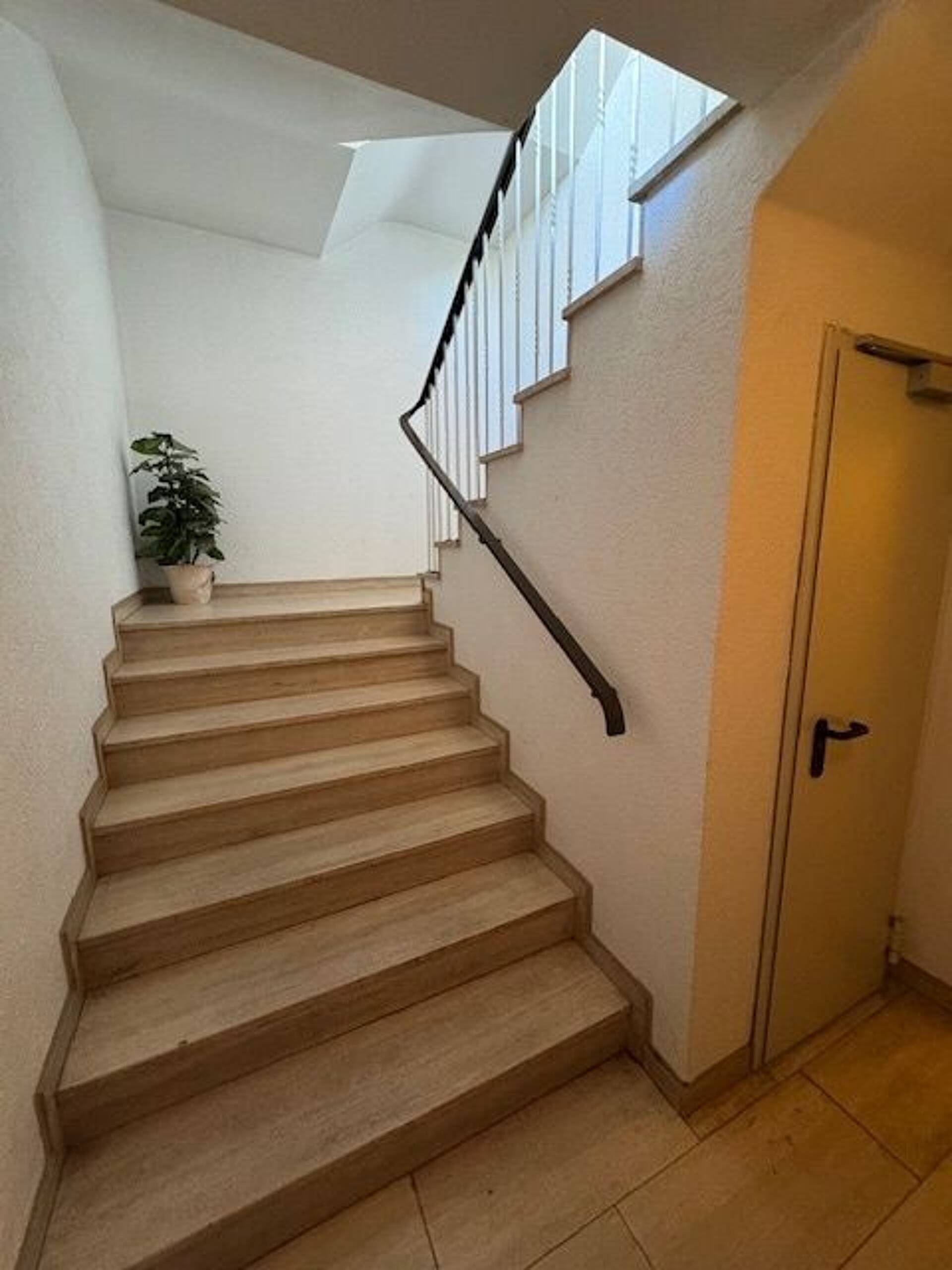 Haus in 50999 Köln mit 437 m² kaufen