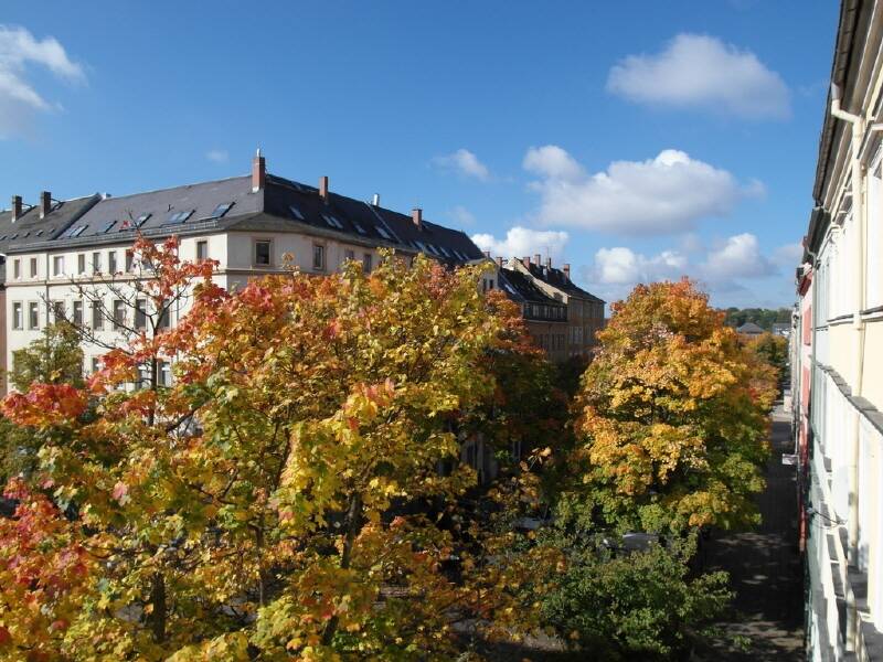 City-Highlight: Moderne 2 Zimmer mit Süd-Balkon und Komfort-Aufzug