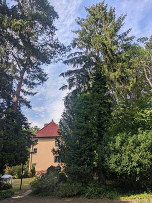 Kein Neubauwürfel, kein 08/15, Berliner Altbau-Schätzchen m. 1010m² Grundstück s. Menschen m. Ideen – 12623 Berlin – Vorschaubild 7