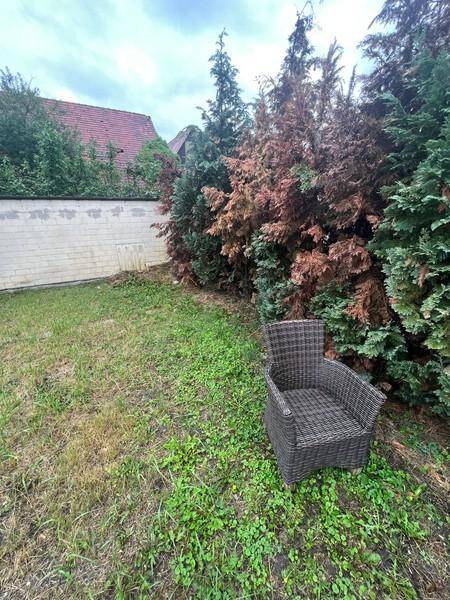 Gewerbeeinheit + 2 WE im Zentrum des Lebens und Metropolregion Karlsruhe nah. – Karlsdorf-Neuthard – Vorschaubild 2
