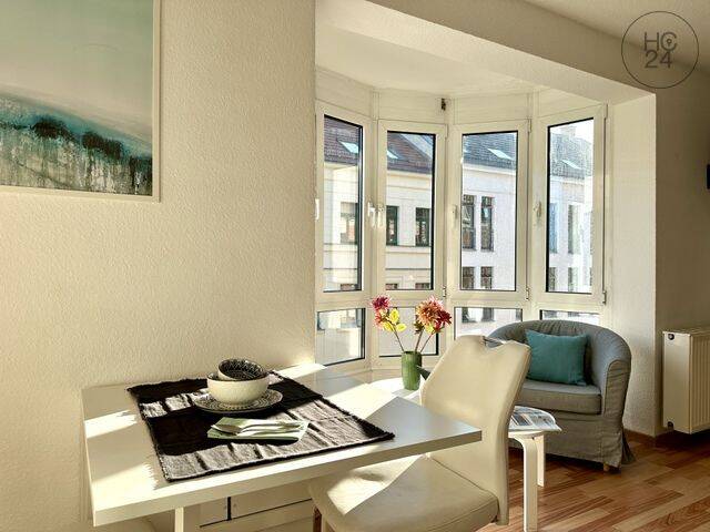 Wohnen auf Zeit in Leipzig - praktisch möbliertes Apartment in Stötteritz – Leipzig – Vorschaubild 8
