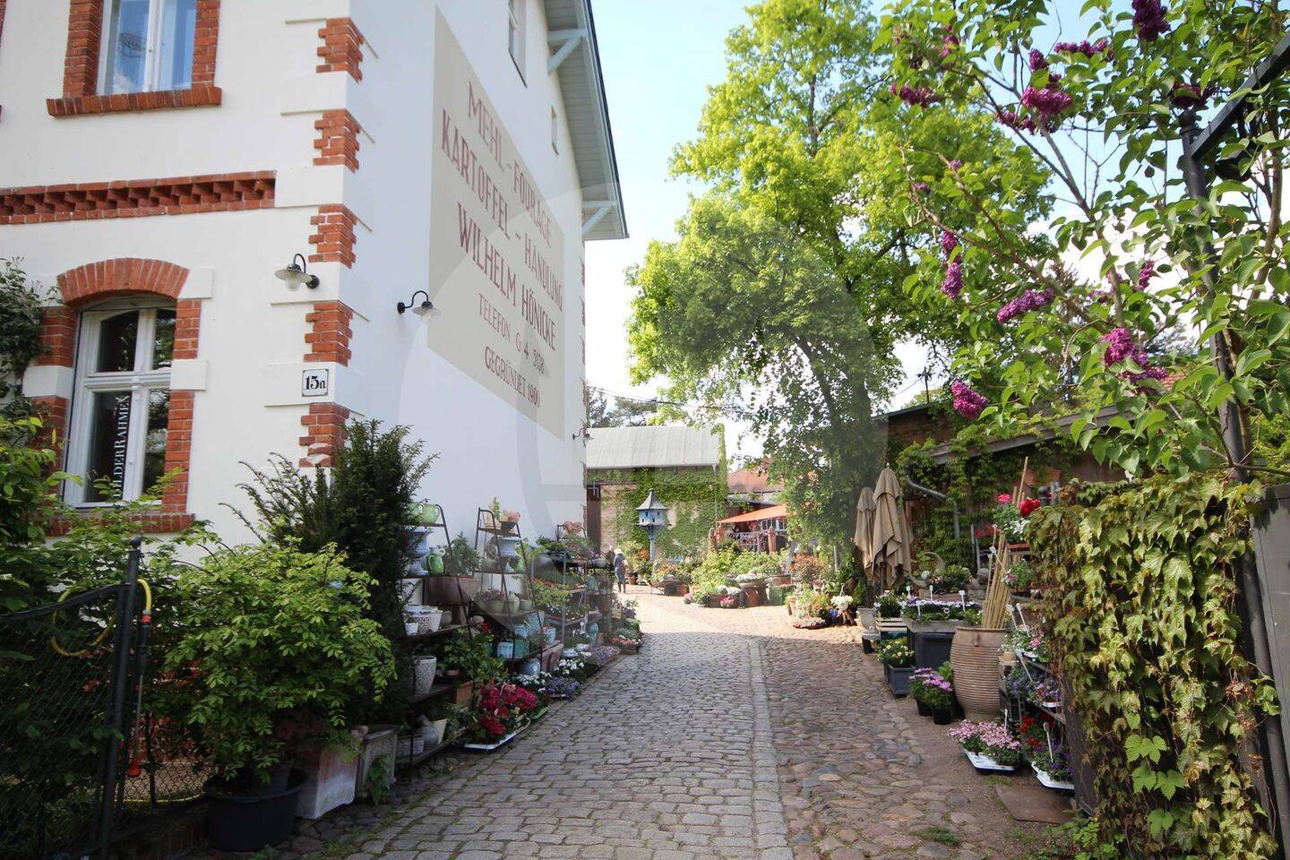 Weite. Wannsee. Wohngefühl. - Saniertes Haus mit großem Garten direkt am Wald – Berlin – Vorschaubild 8