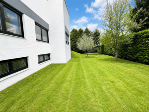 ***Exklusive Wohnimmobilie in der Kernstadt von Paderborn*** – 33102 Paderborn – Vorschaubild 5