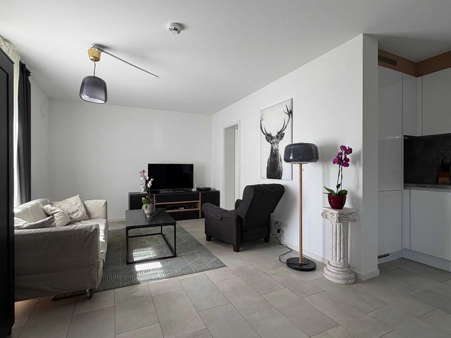 neuwertige 2 Zimmer-Wohnung in gehobener Ausstattung mit Terrasse und 2 Stellplätzen – Trier – Vorschaubild 7