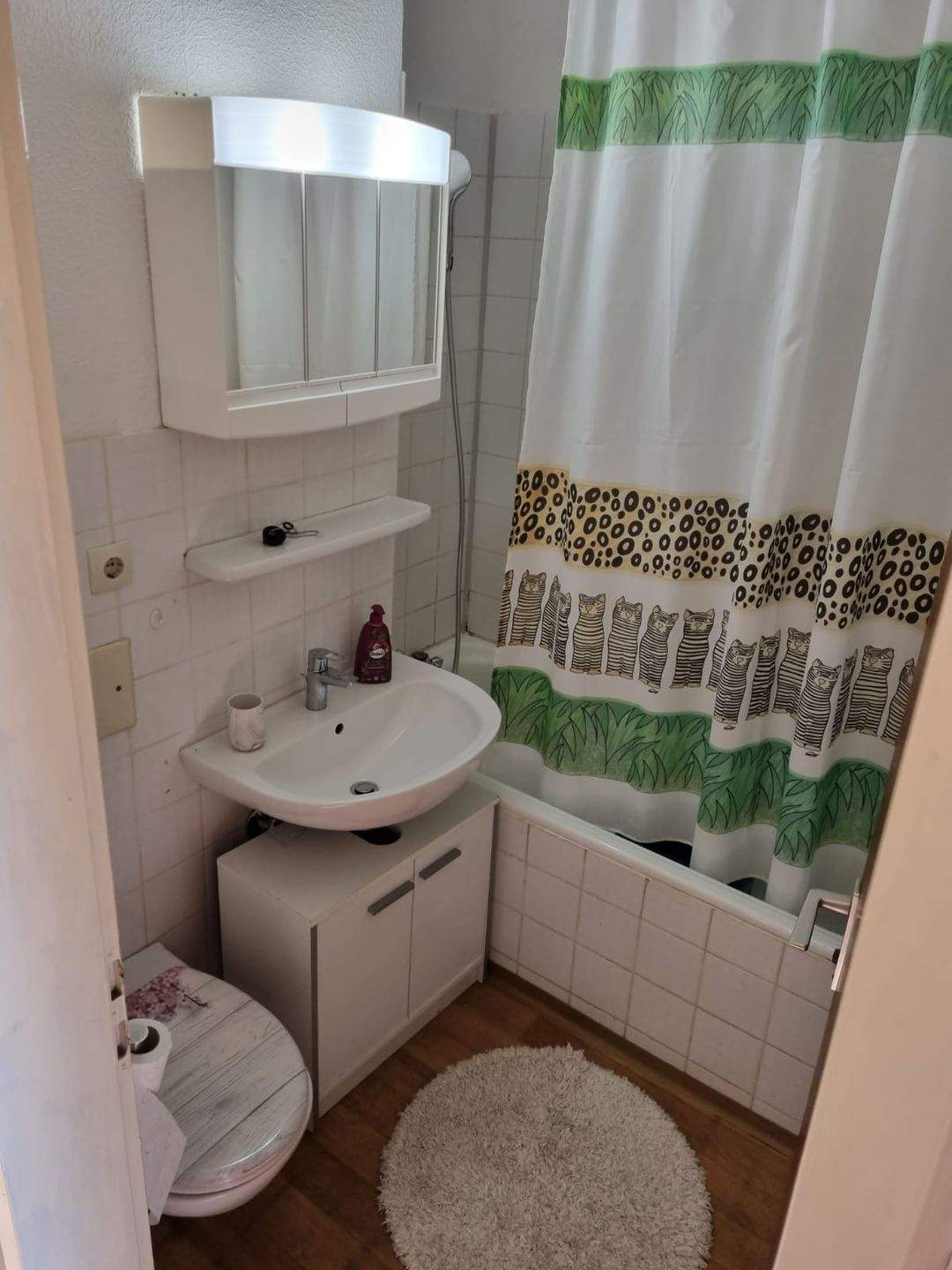 Freundliche 1 Zimmer Wohnung mit Balkon in der begehrten Lage Nürnberg bei Wöhrder Wiese! – Nürnberg – Vorschaubild 8