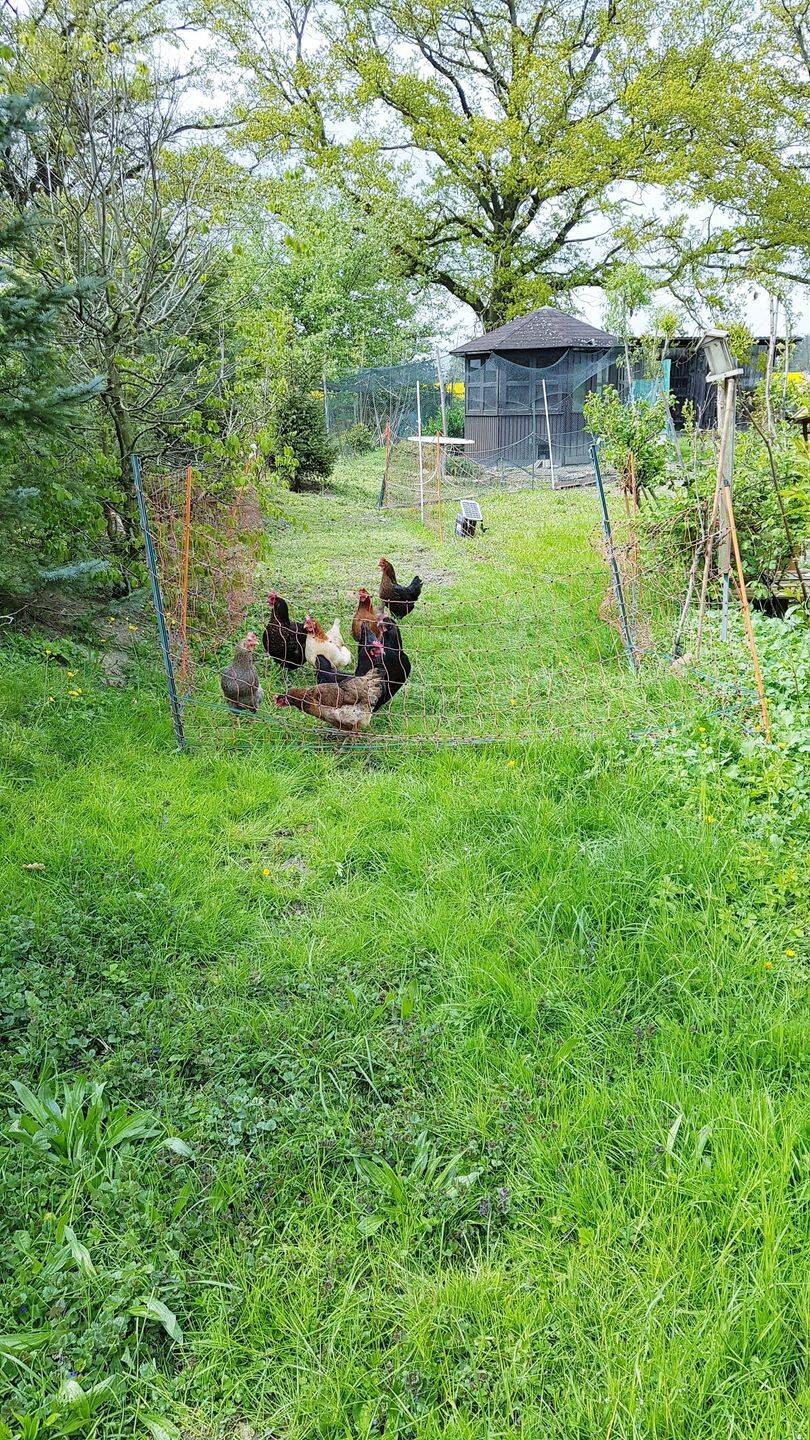 Einzigartige Wohnidylle BJ2013/14 am Ortsende im Naturparadies mit großem Grund 1878 qm zum Entfalten – Höttingen – Vorschaubild 3