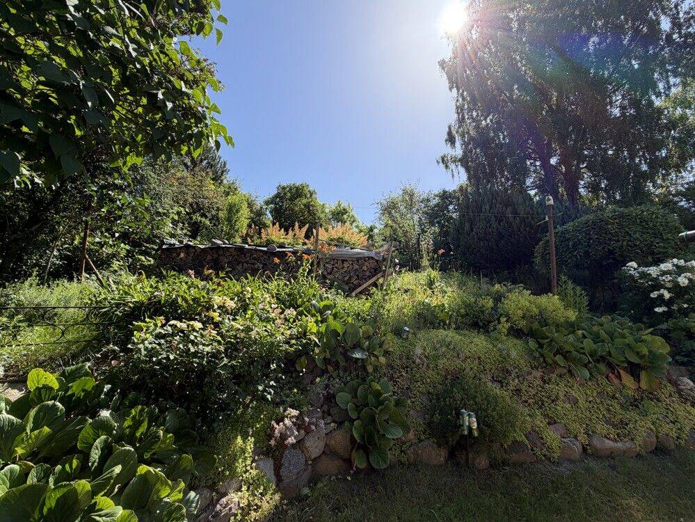 MFH mit 6 WE und jeweils eigenem Garten! – Bergen auf Rügen – Vorschaubild 7