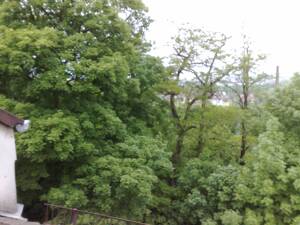 Tannenwäldchen: Zentral gelegene Wohnung mit Blick auf Kassel – 34119 Kassel – Vorschaubild 5