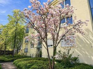Solide 2-Raumwohnung mit Entwicklungspotential im aufstrebenden Stadtteil Pieschen!