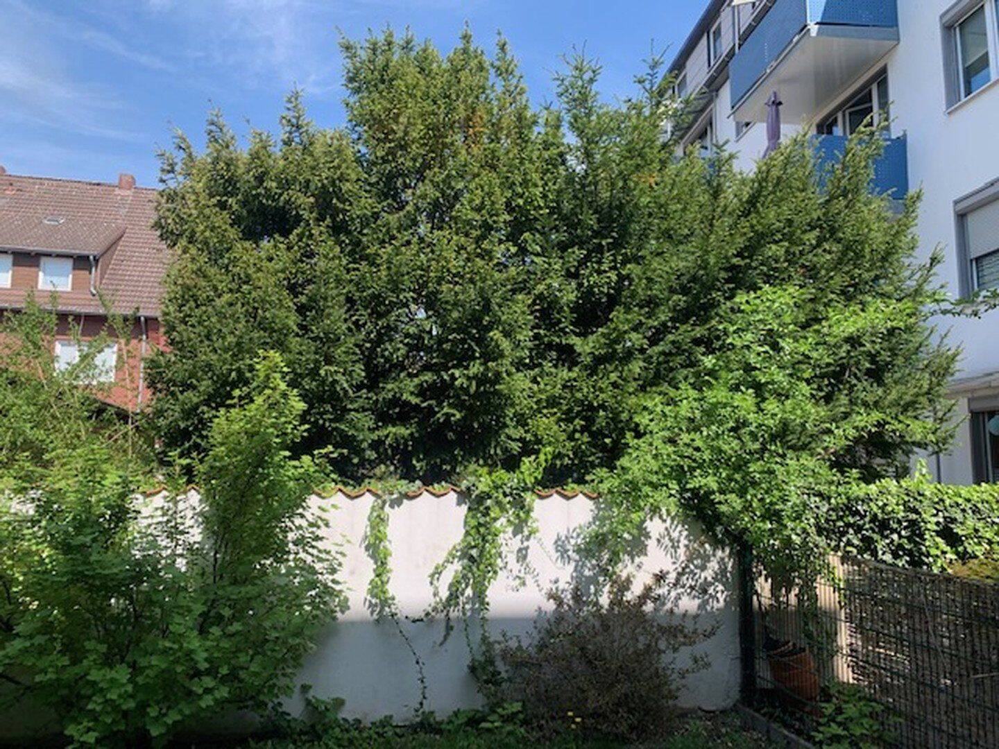 Top WG-Zimmer in 3-WG Münster Mitte-Südviertel saniert/Garten Terrasse Balkon Warmmiete All-in-Miete – Münster – Vorschaubild 7