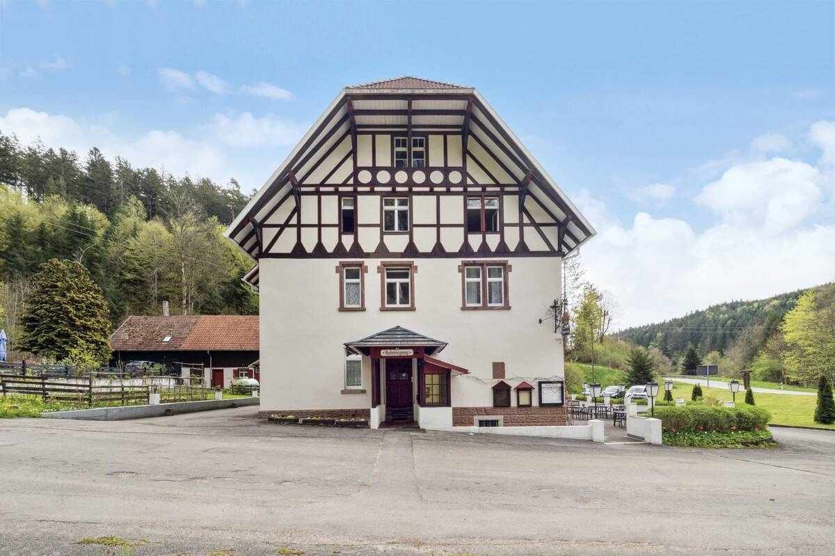 Projektimmobilie mit außergewöhnlichem Entwicklungspotenzial im Schwarzwald – Bonndorf im Schwarzwald – Vorschaubild 7
