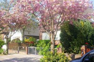 Top-Lage Marienthal, 3 Fam.hs., absolut ruhig – 22043 Hamburg – Vorschaubild 2
