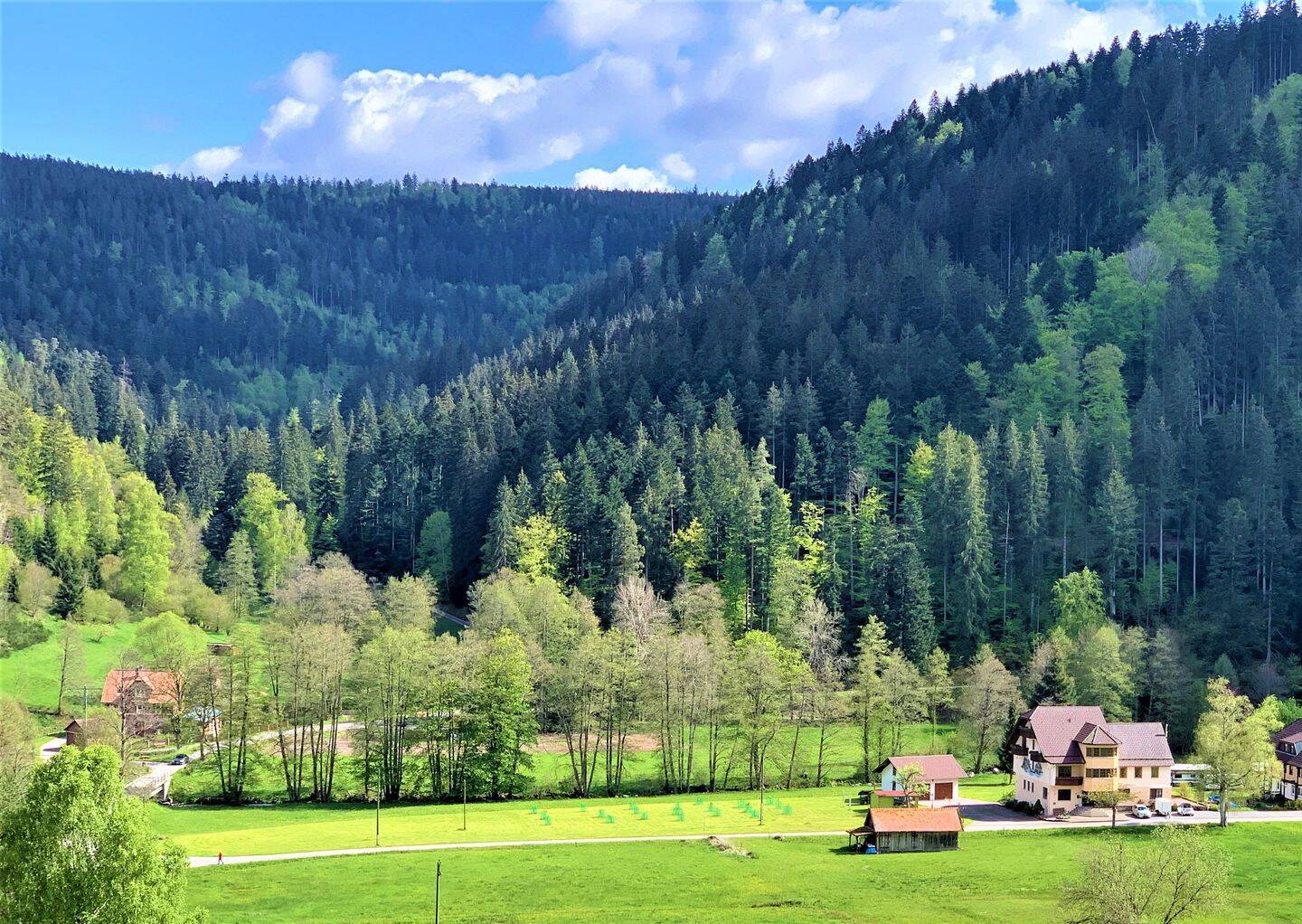 Exklusives Einfamilienhaus mit Einliegerwohnung und großem Grundstück in Bad Wildbad – Bad Wildbad – Vorschaubild 2