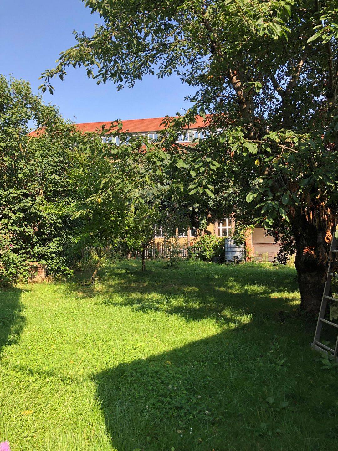 APOLDA – Mehrfamilienhaus mit viel Potential durch Ausbaureserven, Nebengelaß und Zufahrt – Apolda – Vorschaubild 6