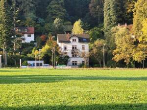 Grosszügige 1,5-Zi-Whg 39qm (+ ca. 30qm Grundfläche) mit Schlaf-Atelier-Spiel-Galerie + in 4-FamHs + GartenHaus + Apfelbaum-Garten – 79100 Freiburg im Breisgau – Vorschaubild 7