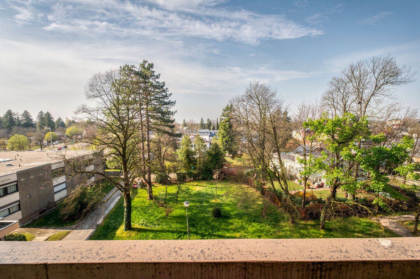 Über den Baumwipfeln: Helle 2-Zimmer-Wohnung mit Balkon in Moosach – München – Vorschaubild 2