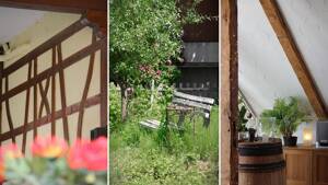 Bieterverfahren: Winzerhof mit großem Grundstück und Weinstube in Köndringen – 79331 Teningen – Vorschaubild 4