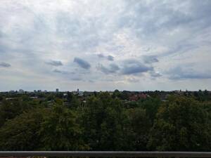 **Wohnglück auf 2 Zimmern - frisch saniert u. mit Balkon** – 39128 Magdeburg – Vorschaubild 8
