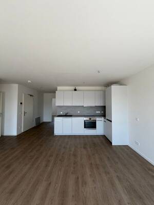 Lichtdurchflutete 3-Raum-Wohnung mit Einbauküche und Balkon – 1067 Dresden – Vorschaubild 2