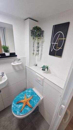 One Room Appartment with Toilette, Shower, Kitchen etc inside – 91052 Erlangen – Vorschaubild 4