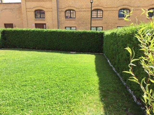 Gartenwohnung mit Denkmal AfA - 3 Zi. Erstbezug Balkon Garten provisionsfrei
