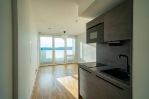 Hochwertiges Apartment mit eigenem Stellplatz – 93051 Regensburg – Vorschaubild 4