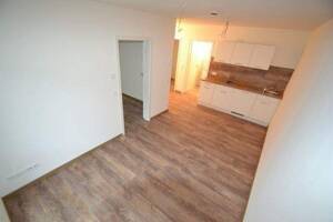 Frei ab 01.11.2026 / 2 - Zimmer im Erdgeschoss / ohne Balkon / Einbauküche ohne Backofen – 54329 Konz – Vorschaubild 9