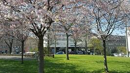 Modernes 1,5-Zimmer-Apartment in Top-Lage mit Aussicht! – Nürnberg – Vorschaubild 3