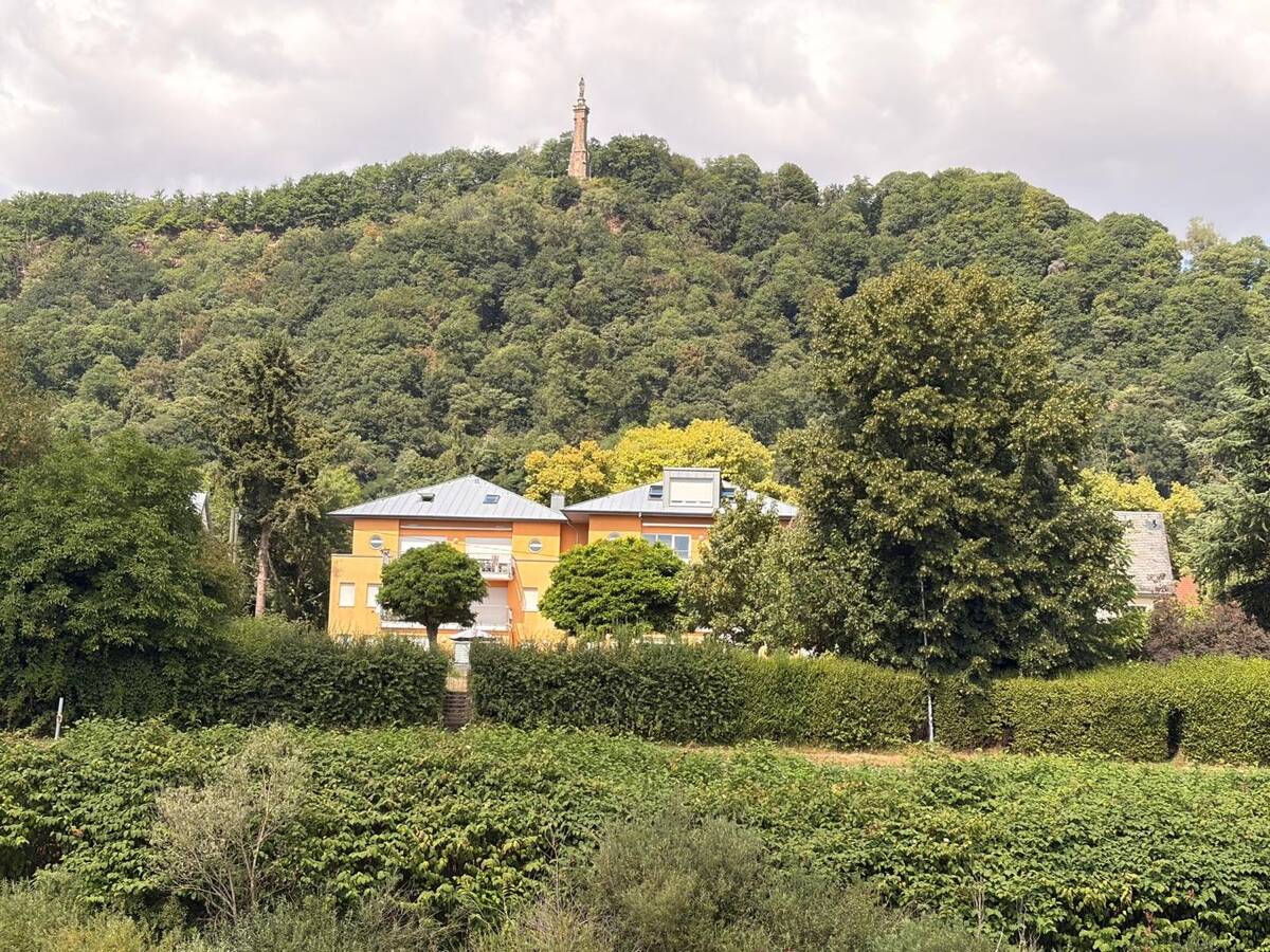 Clever investieren mit Perspektive – 54294 Trier – Bild 1 von 9