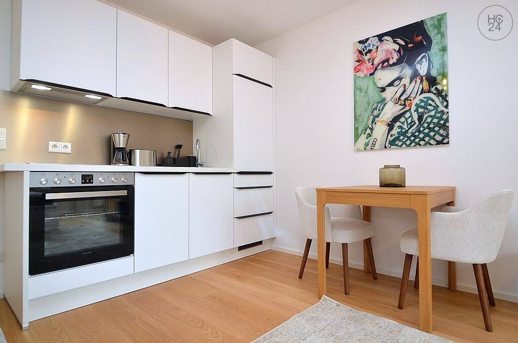 Exklusiv möbliertes 1-Zimmer-Apartment mit WLAN in St.-Johannis – Nürnberg – Vorschaubild 3