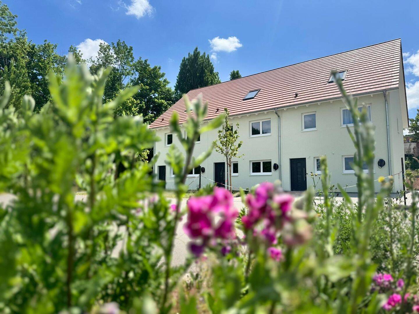 Viel Platz auf kleinem Grund - bezugsfertiges Reihenhaus! – Wernigerode – Bild 1 von 9