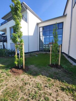 Wohnqualität mit Herz - Barrierefreie Dachgeschosswohnung mit Terrasse im Betreuten Wohnen – 86517 Wehringen – Vorschaubild 4