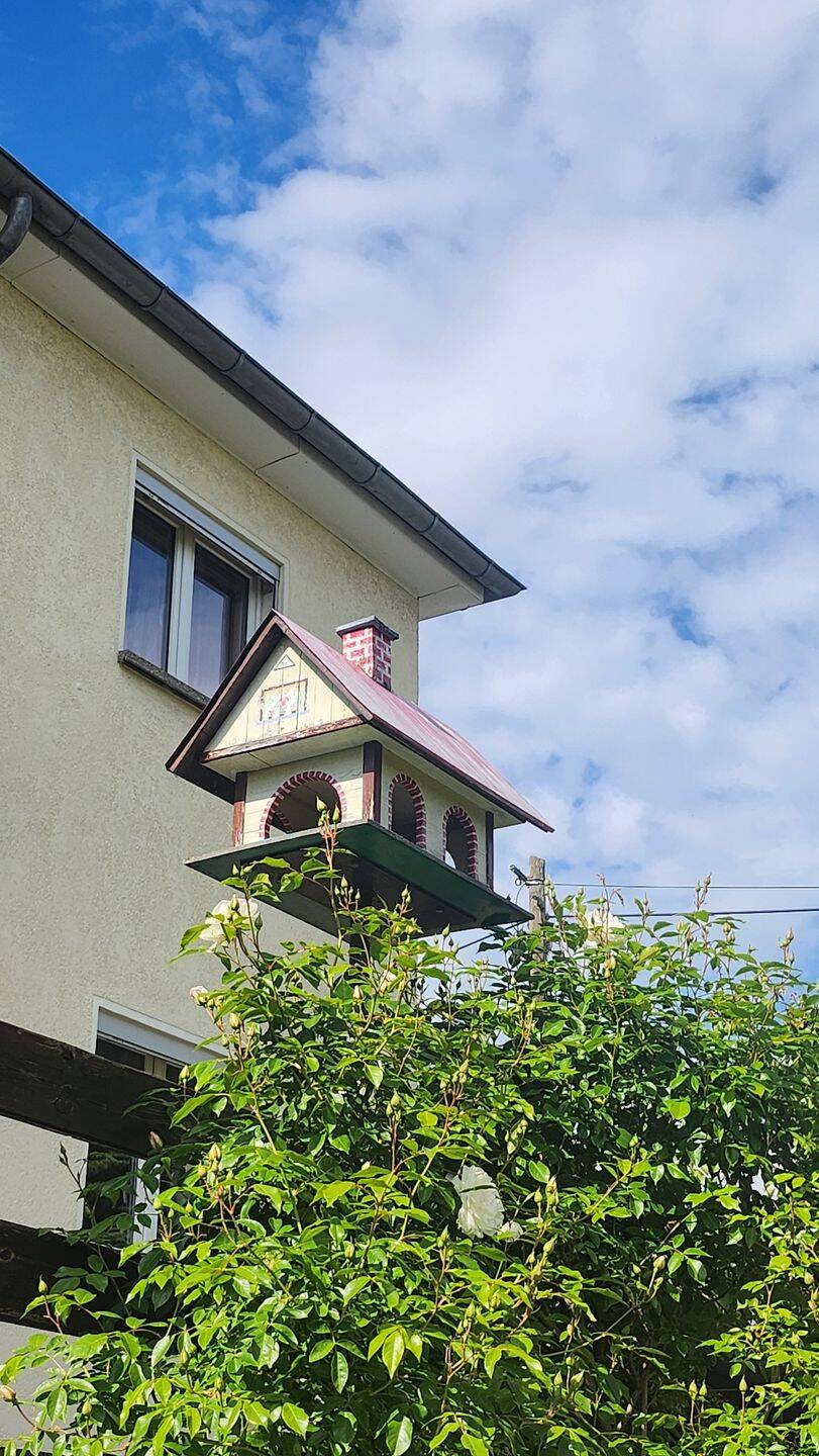 Rarität in Dresden-Oberwachwitz - Außergewöhnliche Oase mit Weitblick zu verkaufen ! – Dresden – Vorschaubild 7