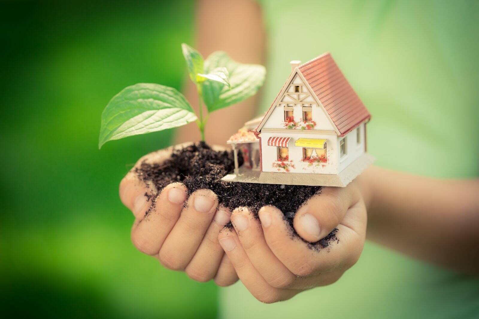 Ihr Individuelles Einfamilienhaus - nachhaltig und modern! – Roetgen – Vorschaubild 2