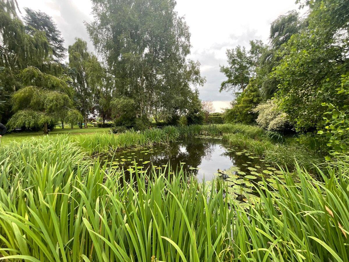 EINFAMILIENHAUS MIT NATURTEICH IN WALDLAGE & 5017QM GRUNDSTÜCK ZUR TIERHALTUNG IN WESTERSTEDE – Westerstede – Vorschaubild 5