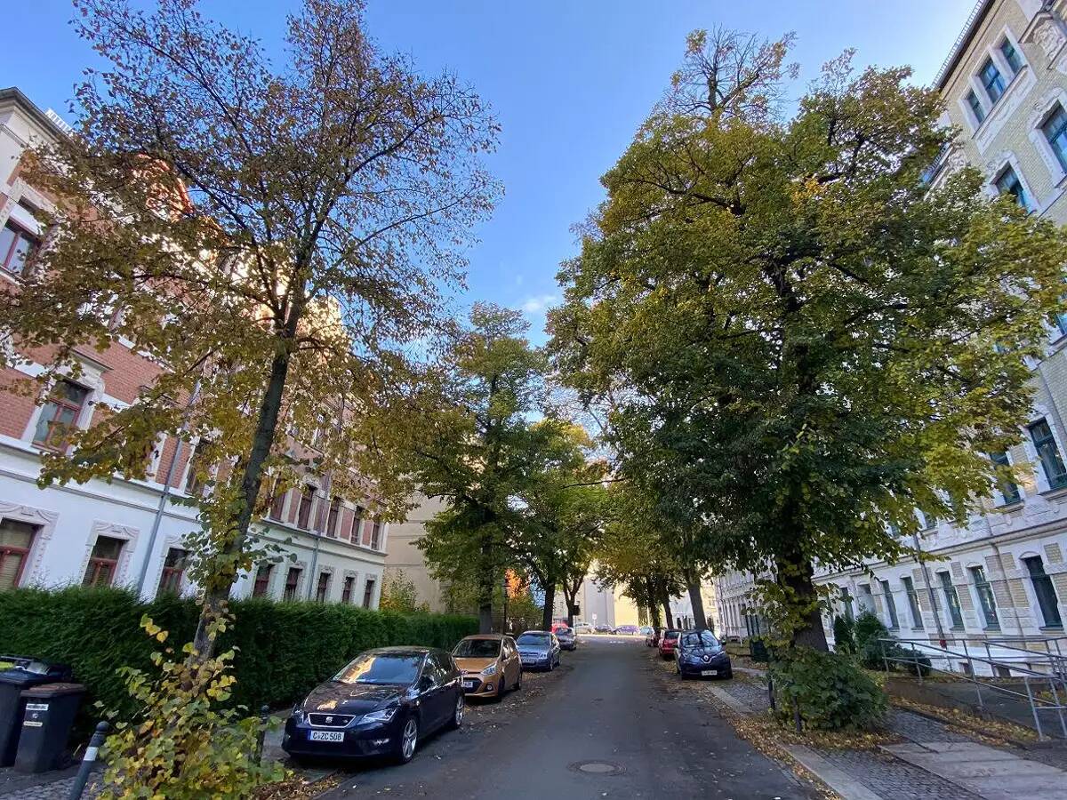 Gemütliche 2Zi-Wohnung Nähe Küchwald und Waldklinikum, Schlosschemnitz – Chemnitz – Vorschaubild 2