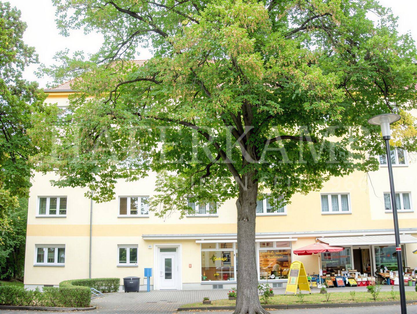 Gruna-drei Zimmer-Selbstbezug! – Dresden – Vorschaubild 2