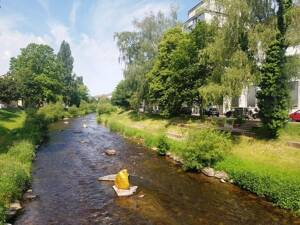 4-Zimmer-Wohnung, zentral, am Enzufer – 75172 Pforzheim – Vorschaubild 5