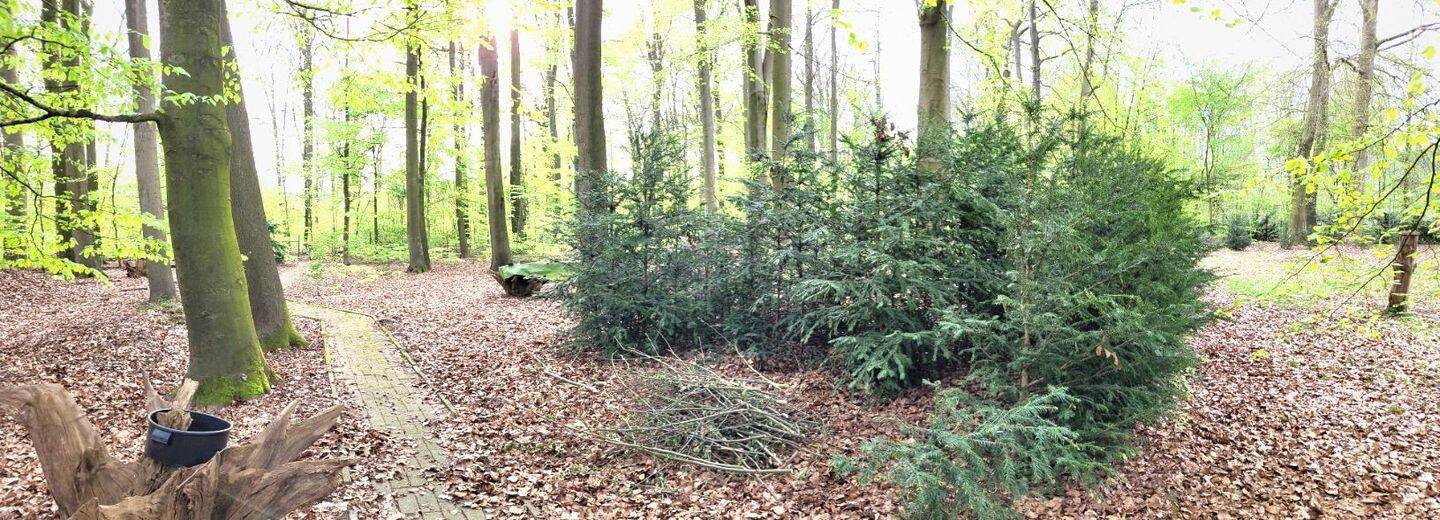 Preis gesenkt! Wohntraum im grünen nur 5 Autominuten vom Zentrum entfernt. – Rotenburg – Vorschaubild 4