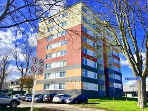 Helle 3-Zimmer-Wohnung mit Wand und Bodenbelag – 44357 Dortmund – Vorschaubild 7