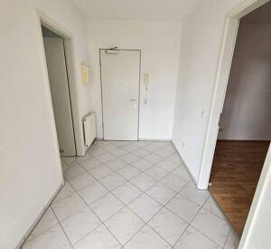 DARMSTADT, schöne, helle 2-Zimmer-Wohnung mit gr. Dachterrasse, Laminatboden, ab 1. September frei! – 64287 Darmstadt – Vorschaubild 5