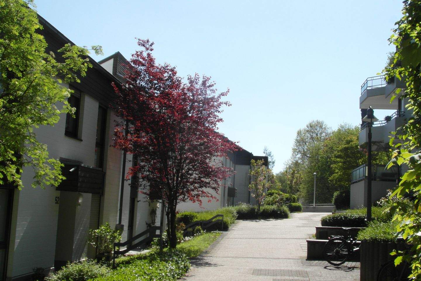Bonn in ruhiger Wohnlage Privatweg das besondere angenehme Wohnen mit 2 Balkonen, 2 Zimmer * bezugsfrei * TG-Stellplatz – Bonn – Bild 1 von 9
