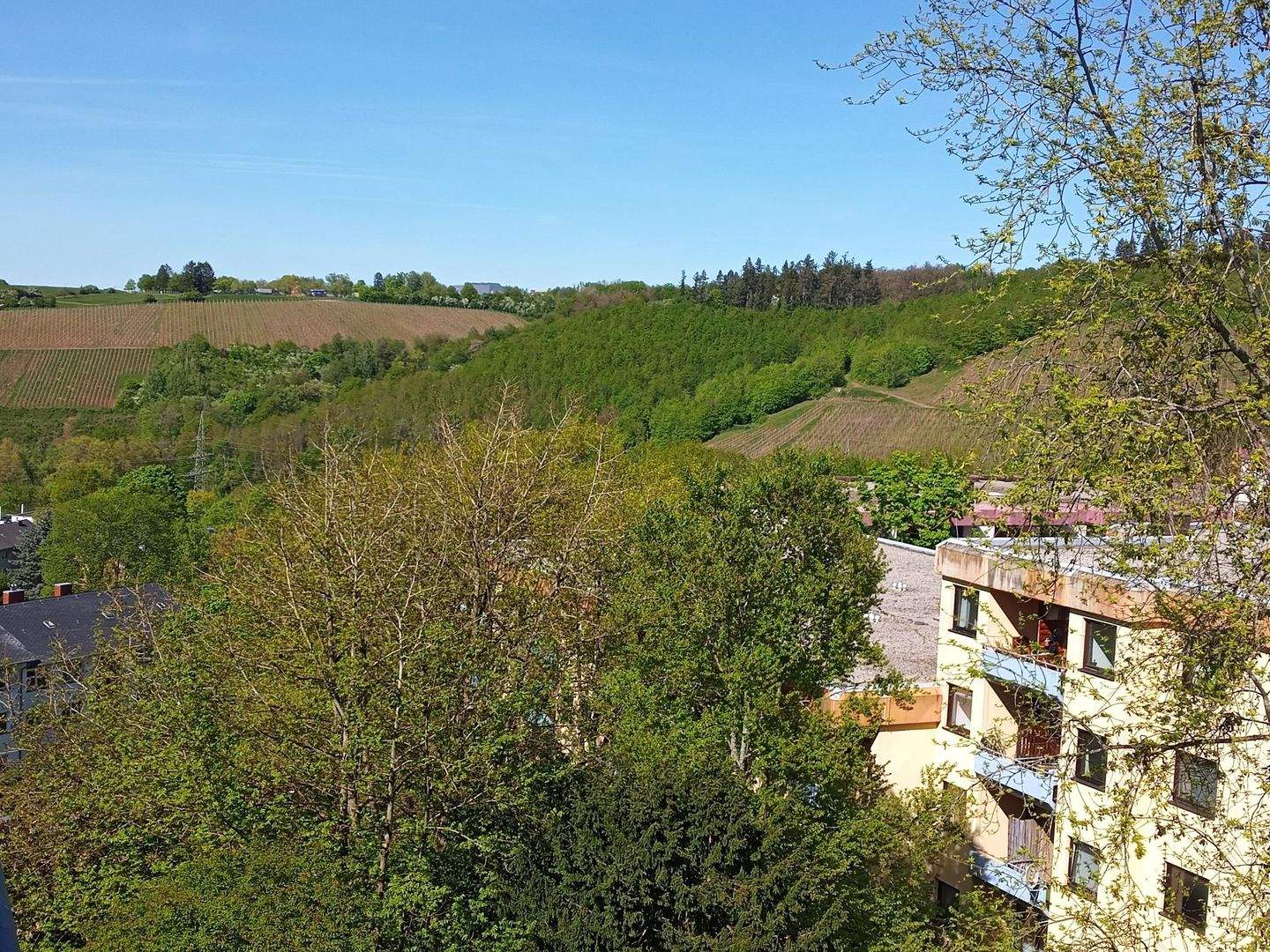 Uni-Nähe Charmantes 1-Zimmer-Apartment mit Balkon und PKW-Stellplatz – Trier – Vorschaubild 8