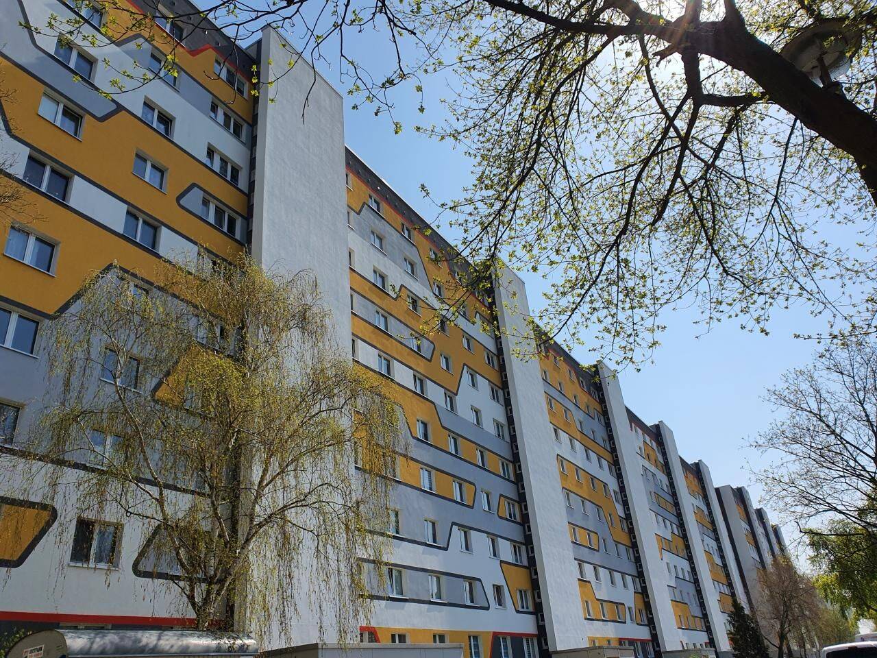 Wohnung in Magdeburg – Magdeburg – Vorschaubild 3