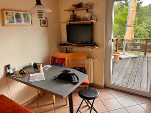 Familienfreundliches Einfamilienhaus mit großer Terrasse im grünen Herzen der Brühlervorstadt – 99094 Erfurt – Vorschaubild 7