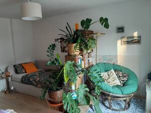 Nachmieter für unmöbiliertes WG-Zimmer mit Terasse und Garten inklusive Strom, WLAN und GEZ in Trudering