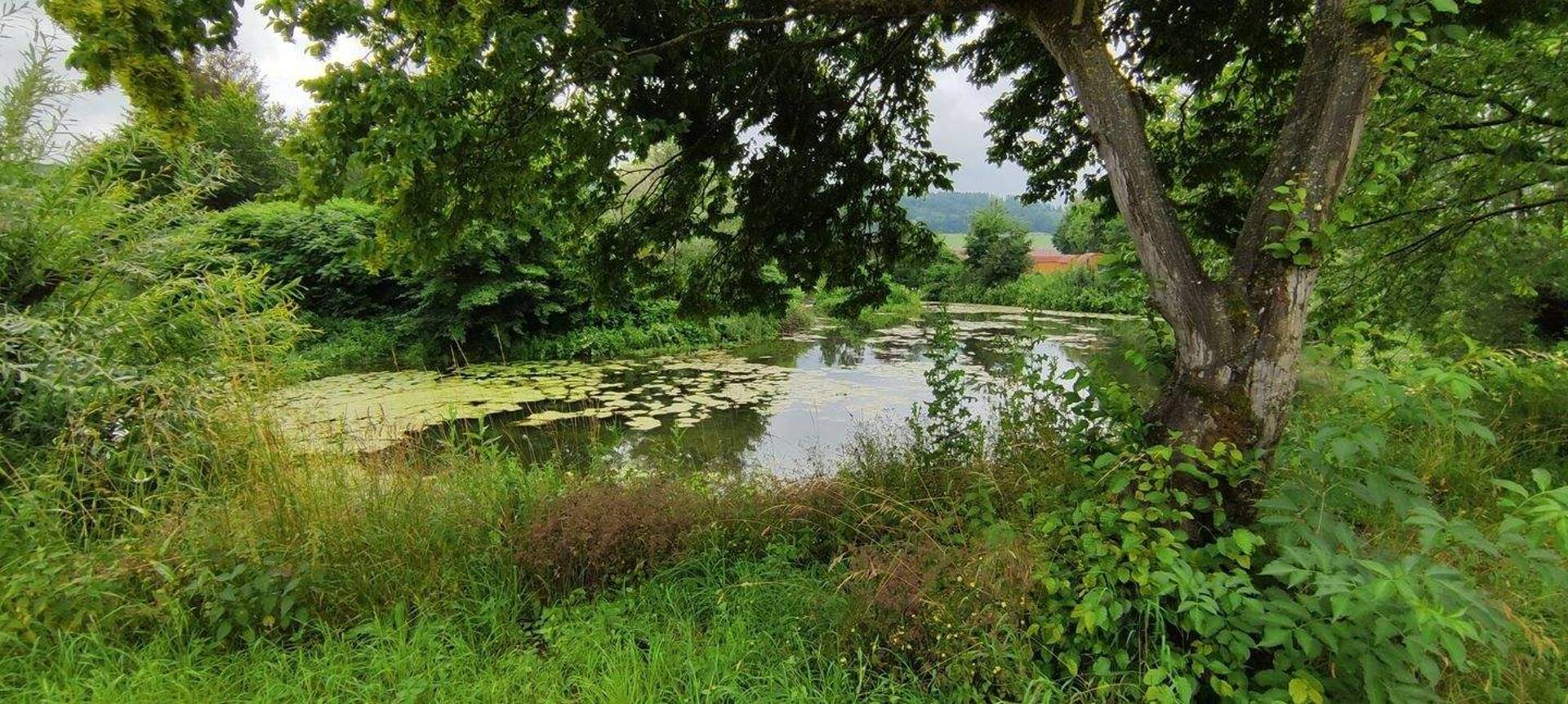 Bungalow in 92339 Beilngries mit 25 m² kaufen