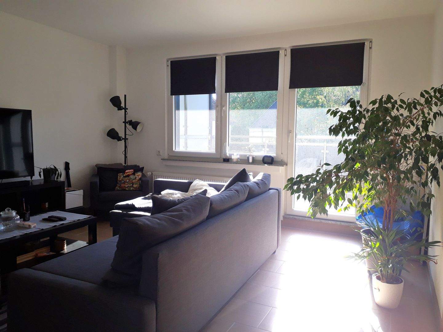 CHARMANTES APARTMENT mit BALKON in TOP-ZUSTAND
